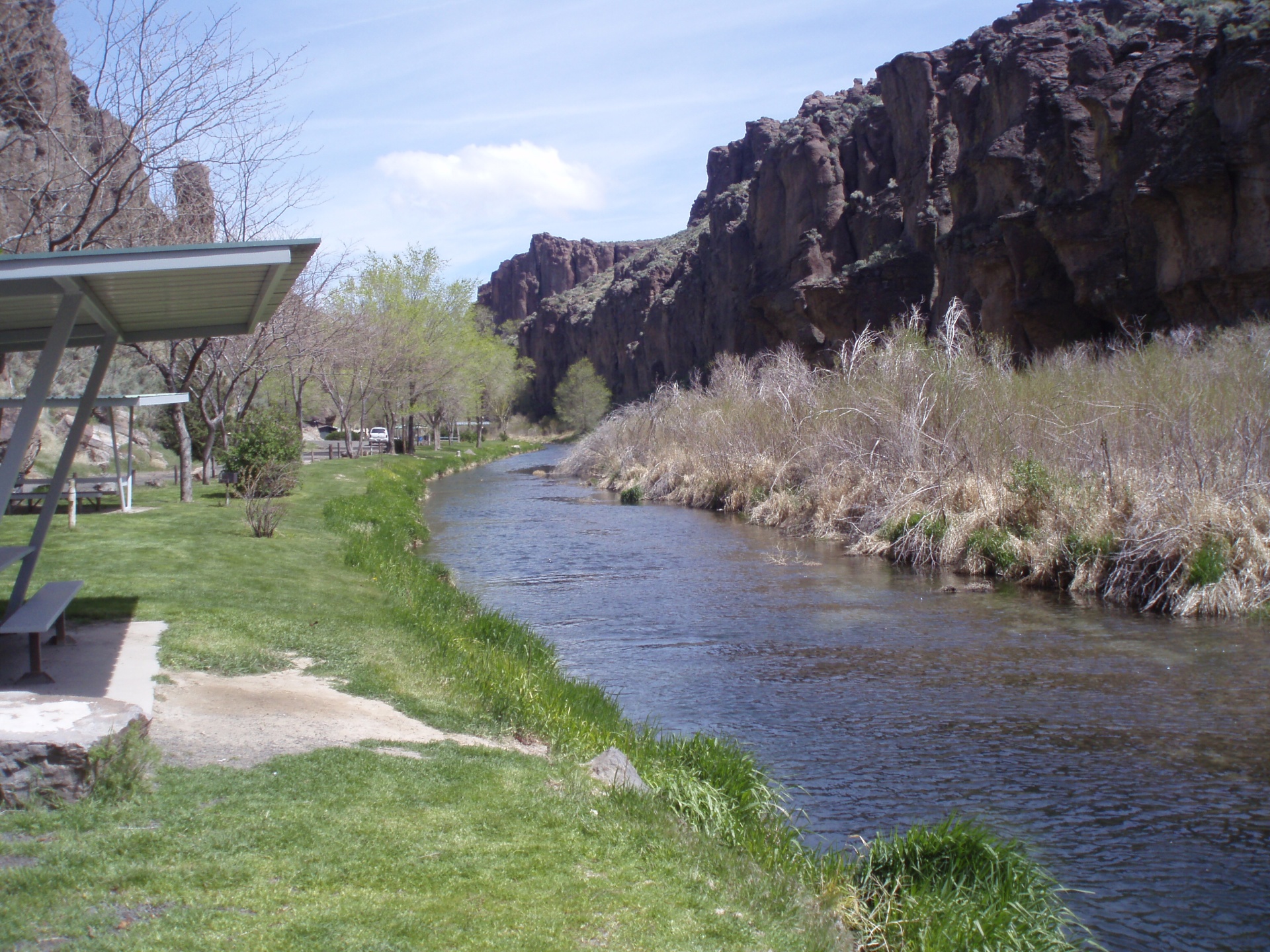 Salmon Falls Creek | Salmon  ID